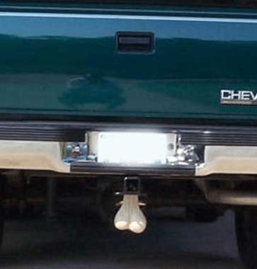 Bulls Balls Bulls Balls